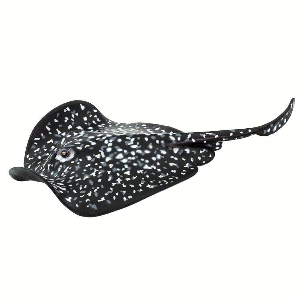 Marble Ray Toy