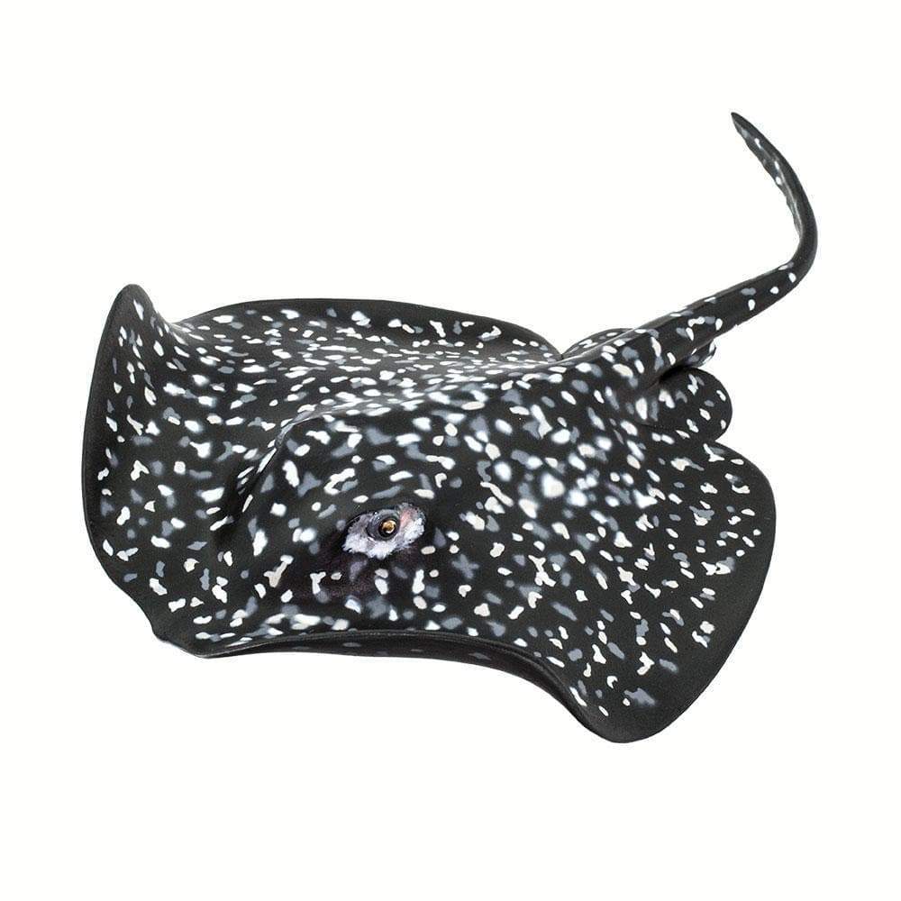 Marble Ray Toy