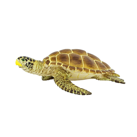 Loggerhead Turtle Toy