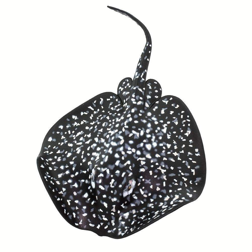 Marble Ray Toy