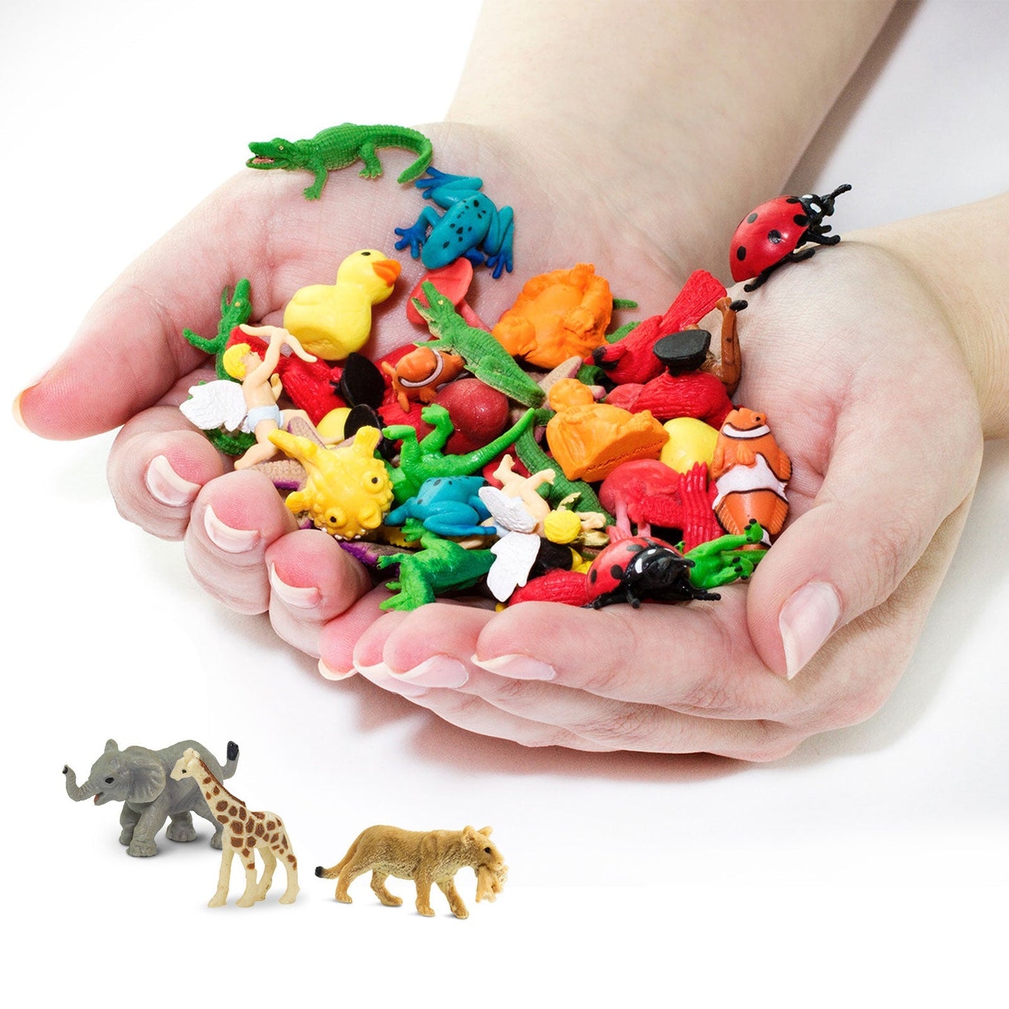Savanna Fun Pack