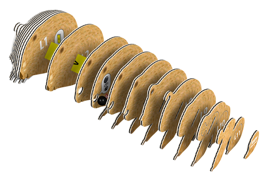 EUGY Wombat 3D Puzzle