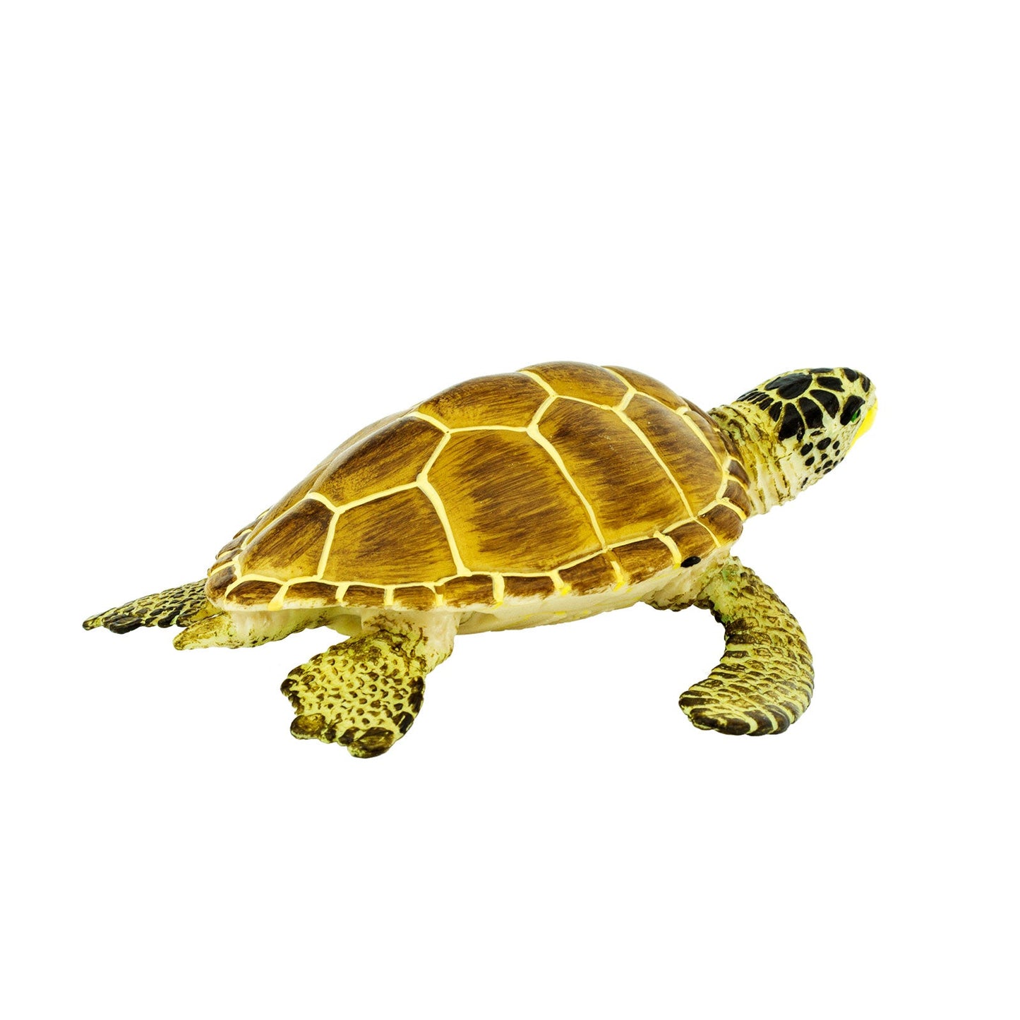 Loggerhead Turtle Toy