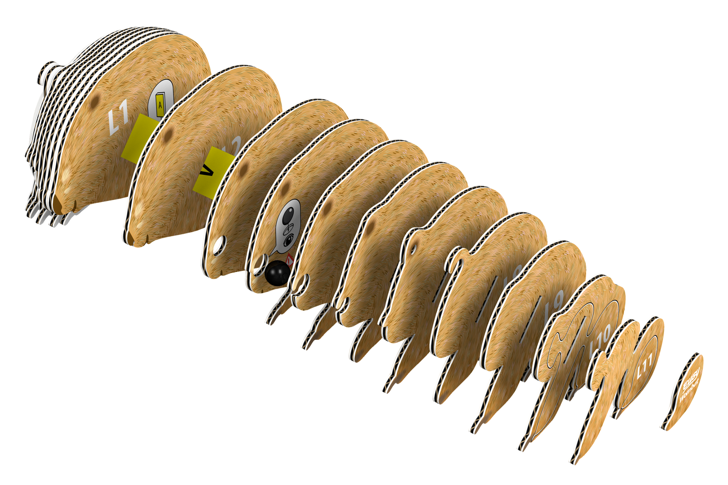EUGY Wombat 3D Puzzle